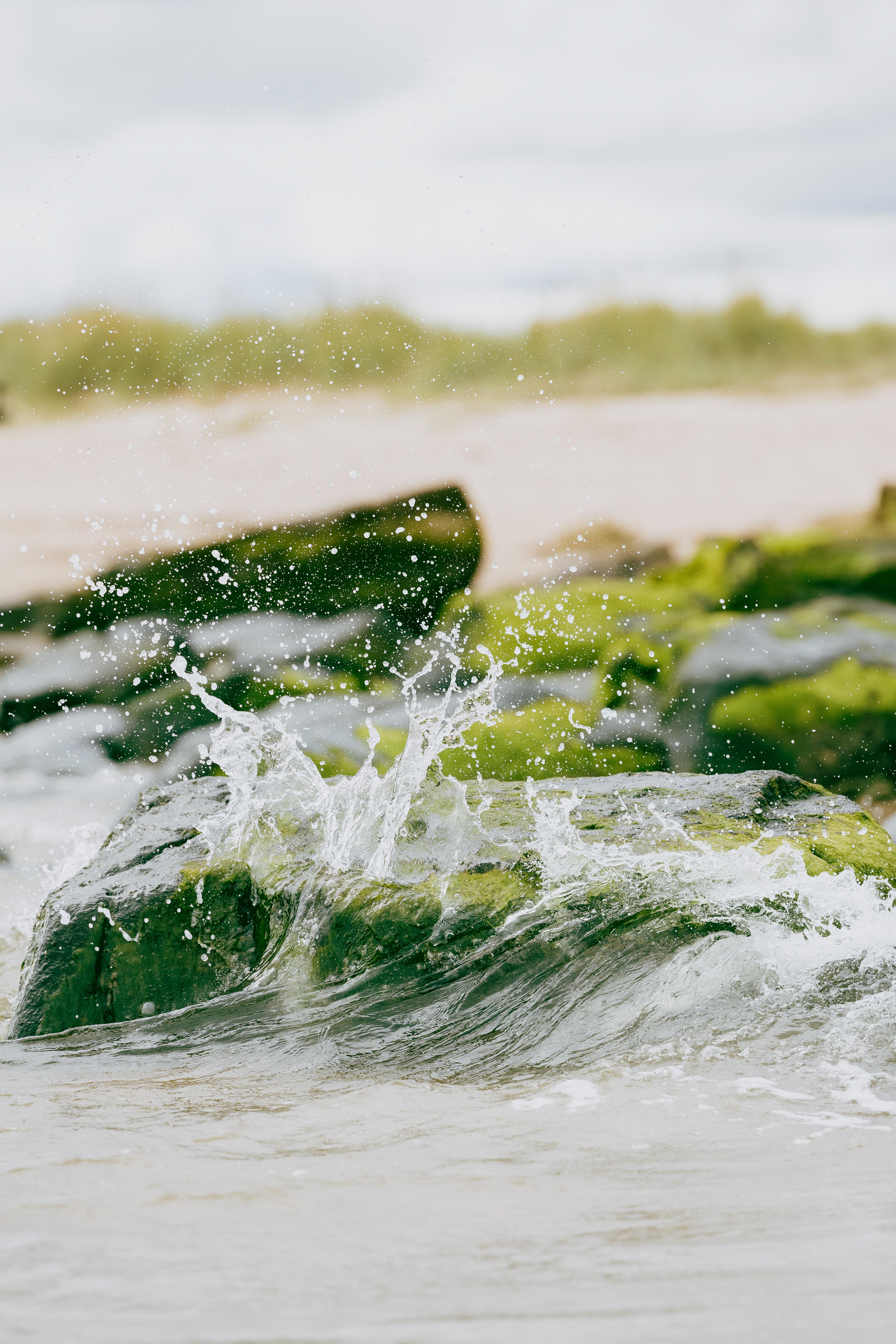 Dornoch Station Hotell Eksteriør bilde Seaweed