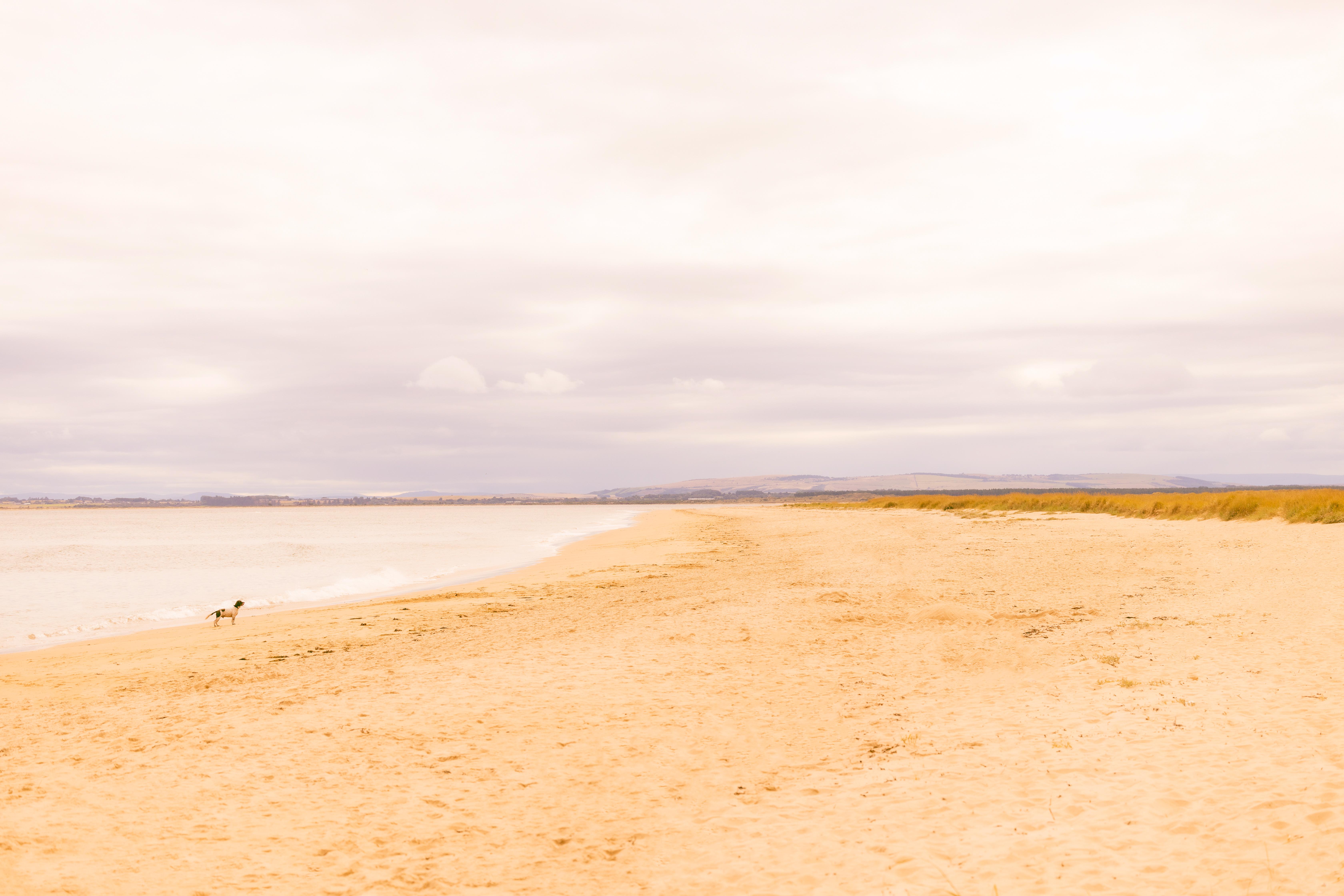 Dornoch Station Hotell Eksteriør bilde The beach at West Bay