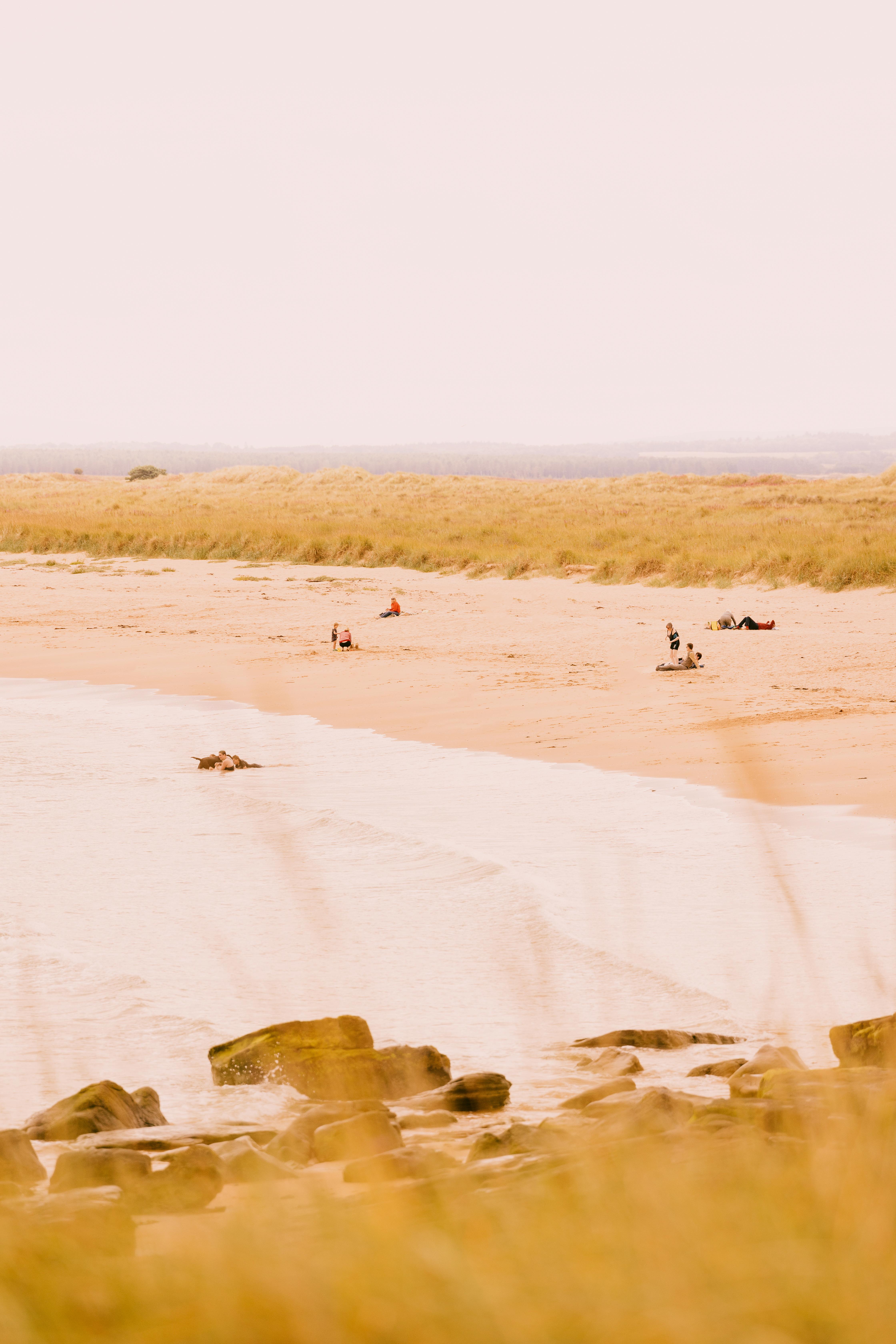 Dornoch Station Hotell Eksteriør bilde The beach at the Cape of Good Hope