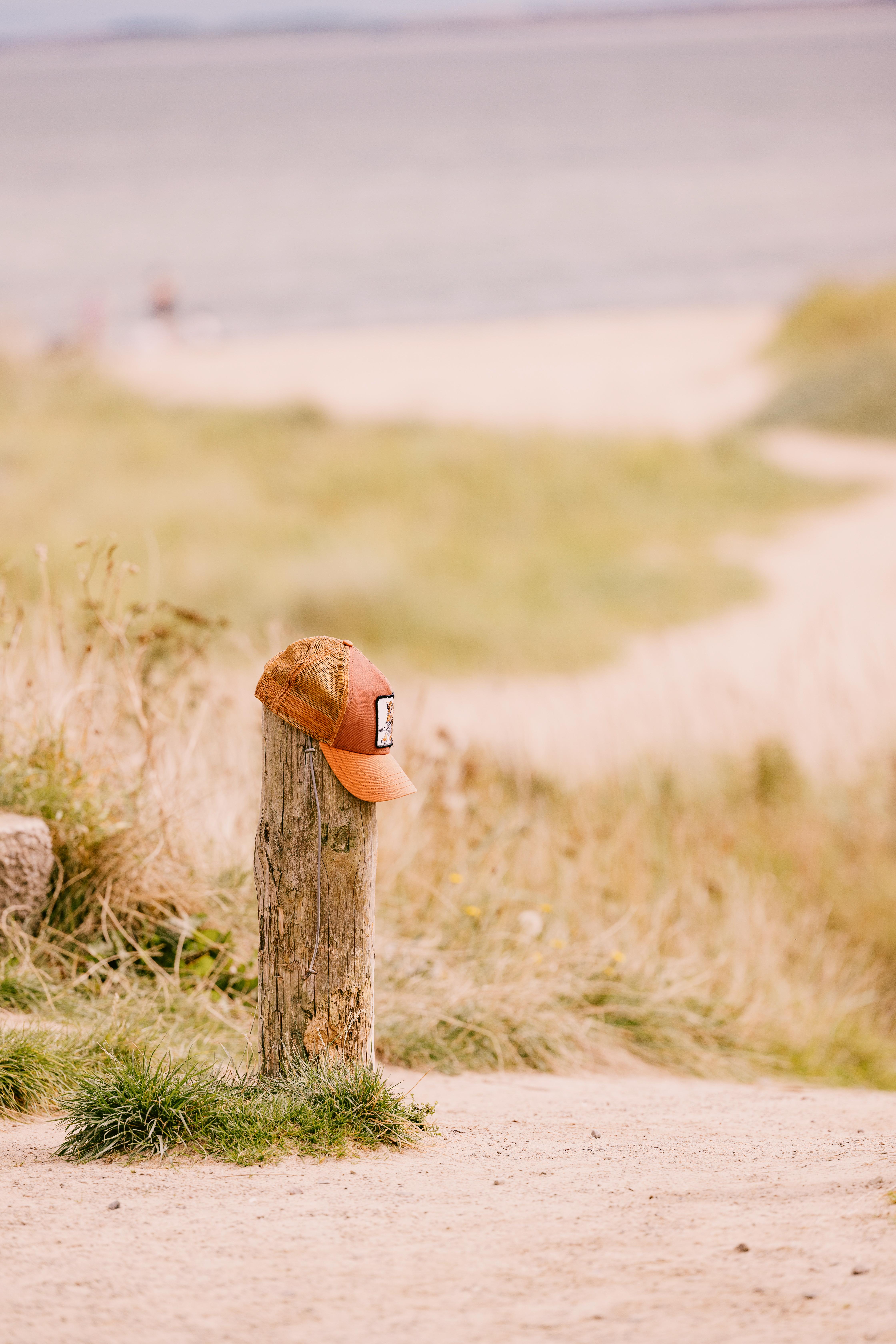 Dornoch Station Hotell Eksteriør bilde A hat on a fence post